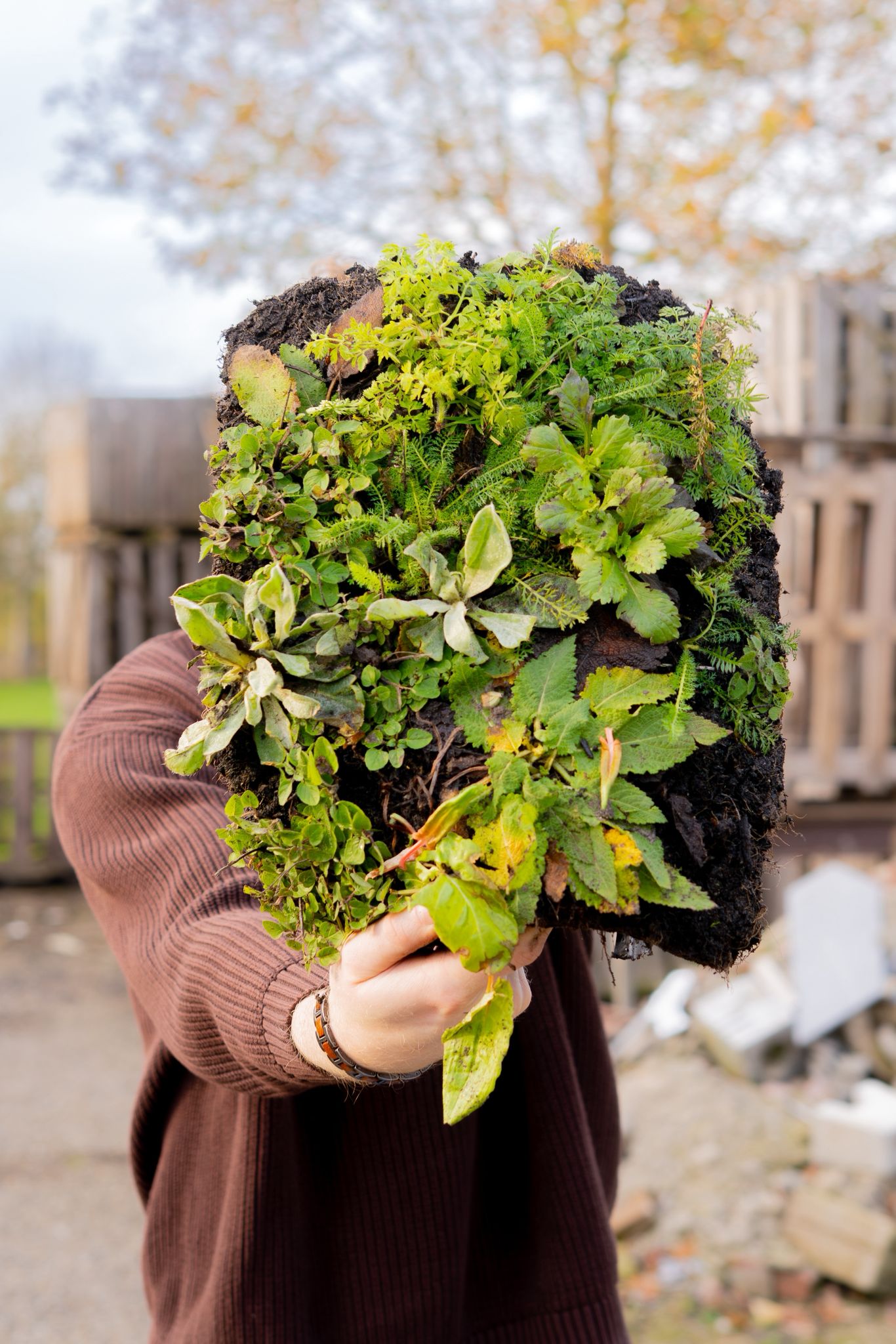 groene tegel die wordt vastgehouden verticaal bovenaanzicht