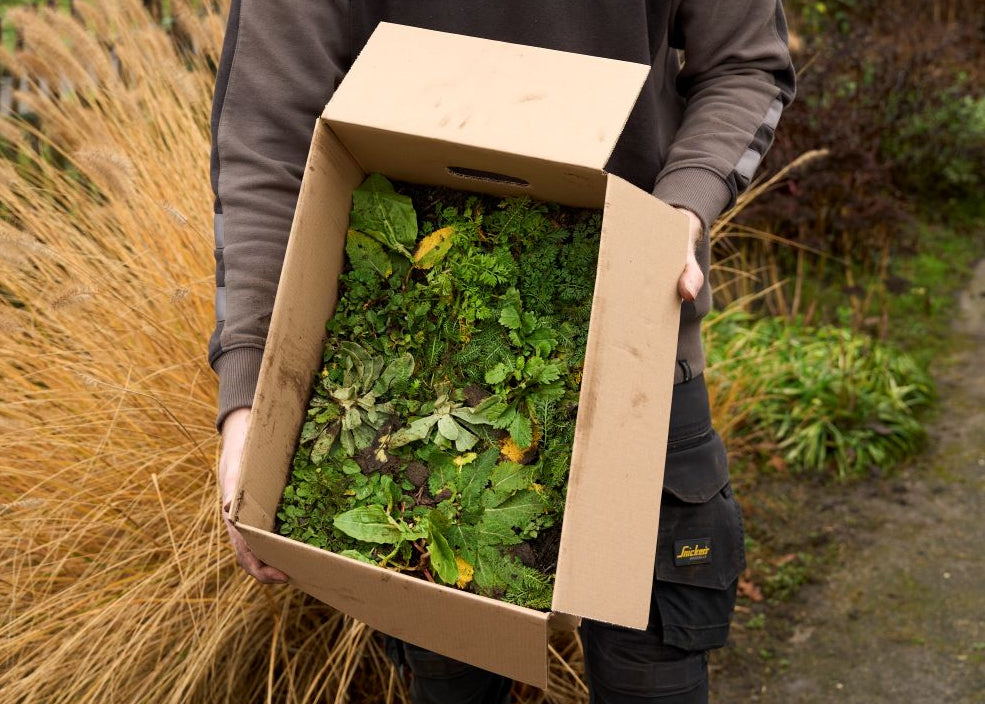 Groene tegel plantmat in doos die vastgehouden wordt
