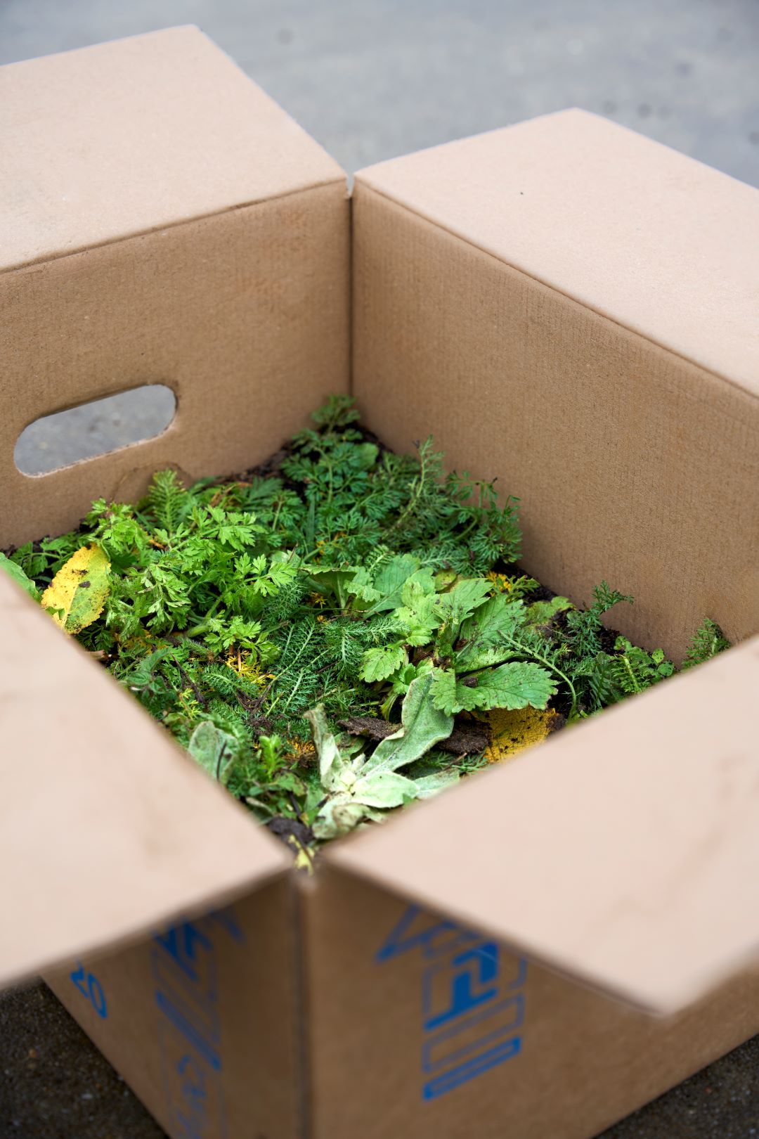 Schuine hoek van de groene tegel in de productverpakking