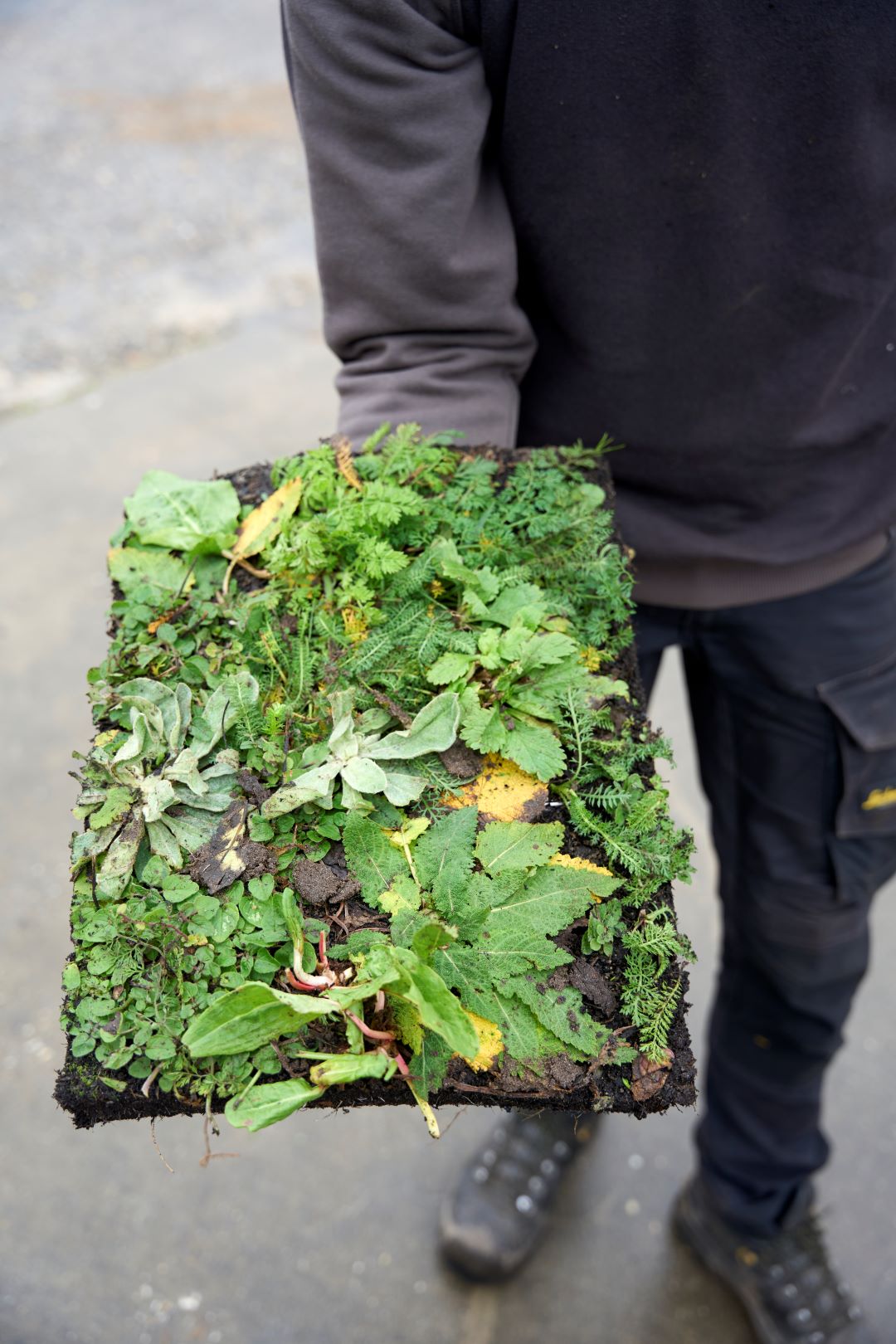 Groene tegel plantmat die vastgehouden wordt los