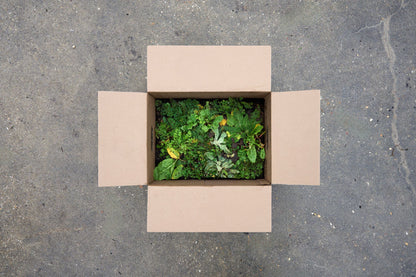 Kant-en-klare plantmat in doos verpakking The New Garden