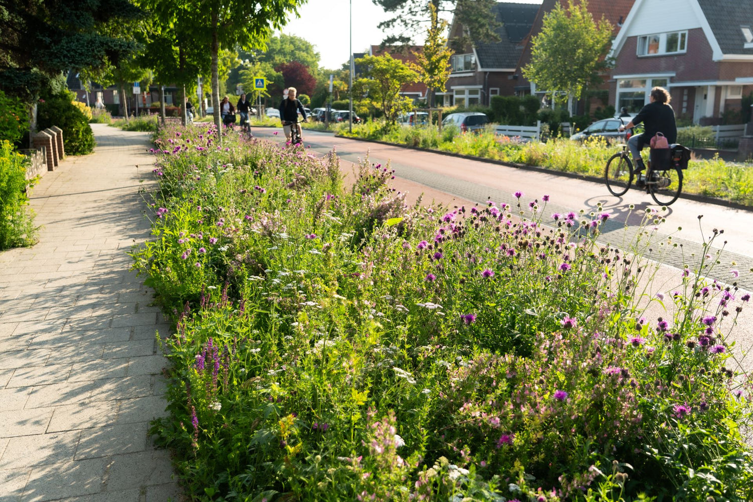 straat border met resultaat vaste plantmatten