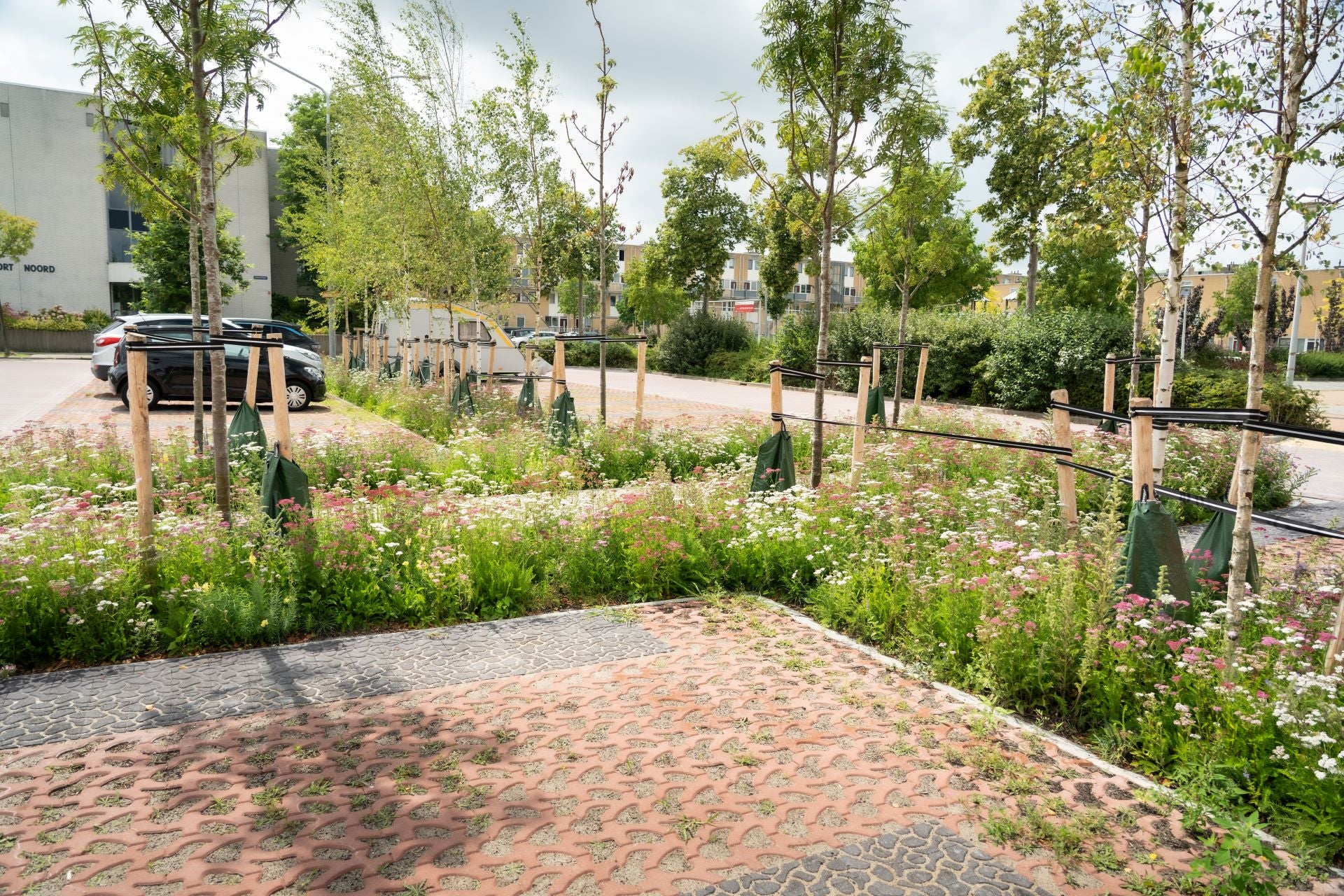 hoek gevuld met vaste plantmatten die gebloeid zijn